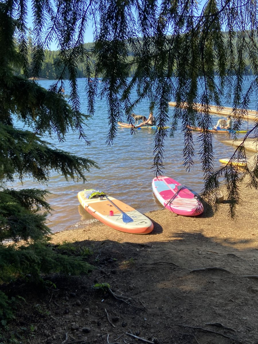 Paddle boards beside a tree-lined river