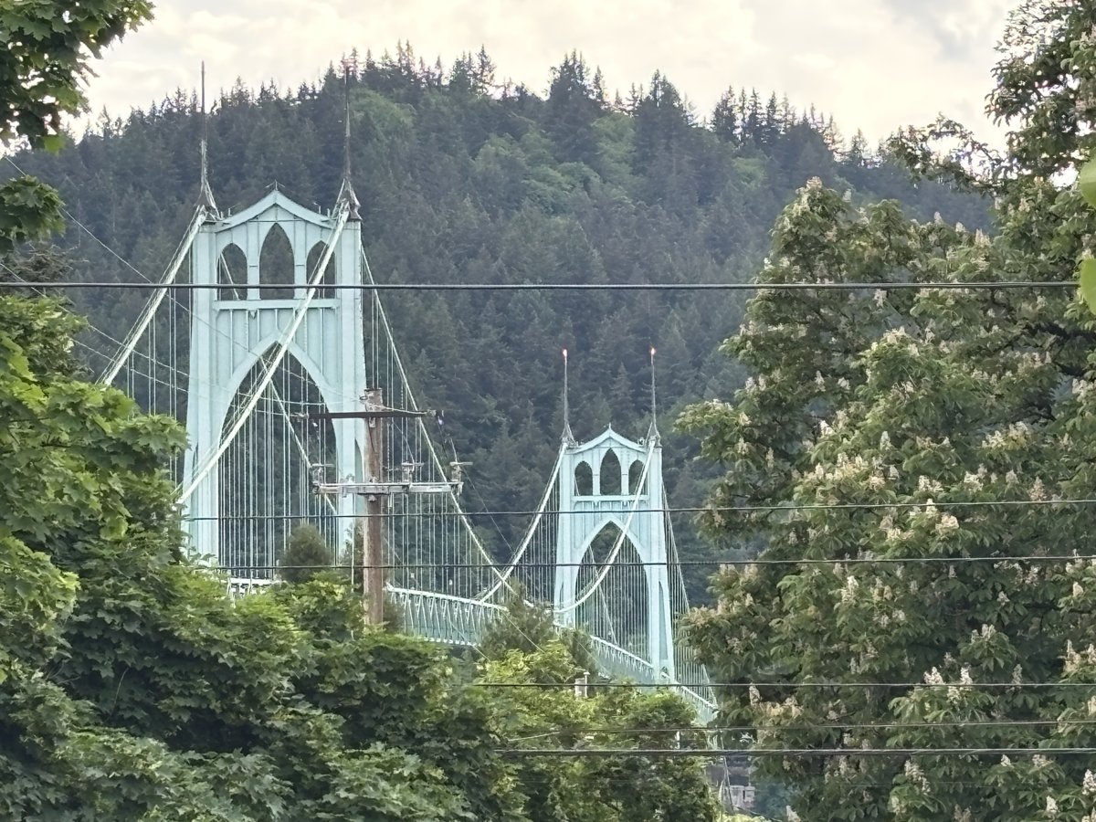 St Johns Bridge framed by trees