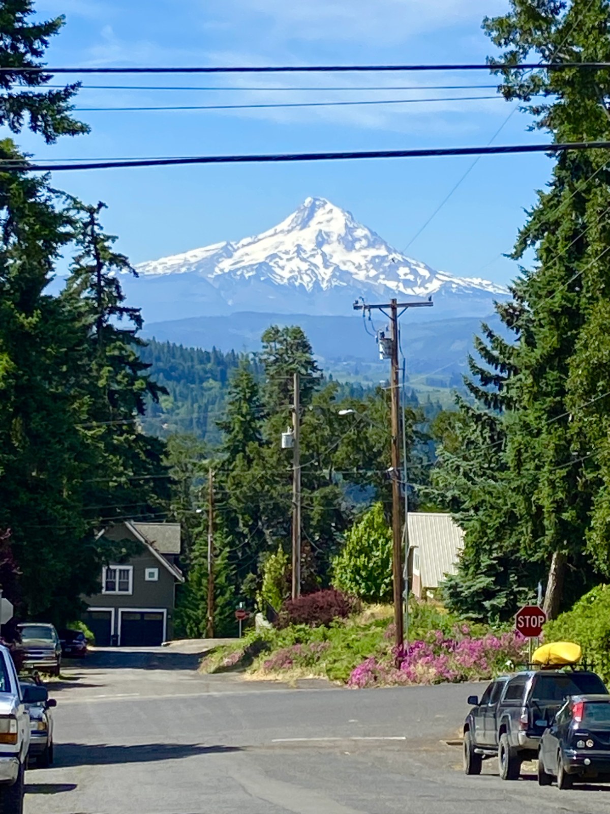 Snow-covered mountain overlooking a tree-lined neighborhood